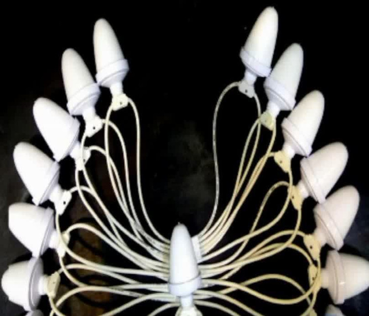 ریسه بلوطی فول کالر