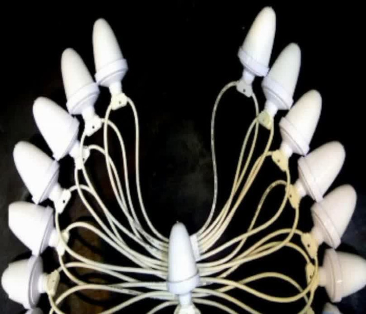 ریسه بلوطی فول کالر