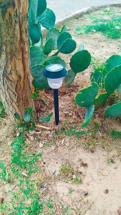 چراغ باغی گرد