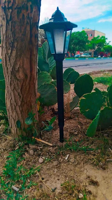 چراغ باغی و حیاطی بزرگ تکی