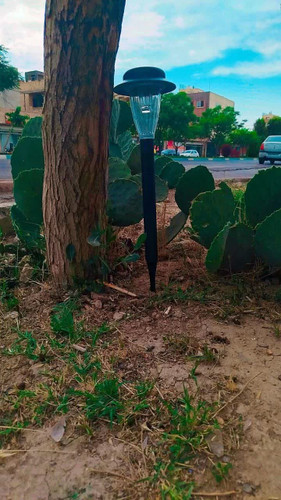 چراغ باغی و حیاطی داخل باغچه متوسط