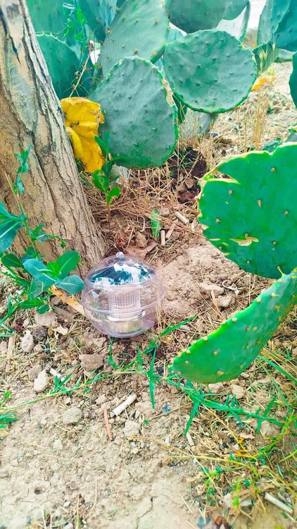 چراغ گرد کروی