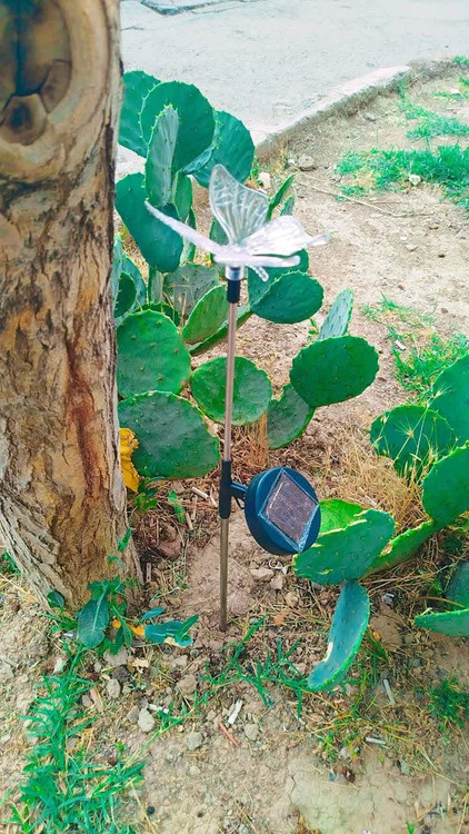 چراغ لوله ای طرح دار پروانه ای