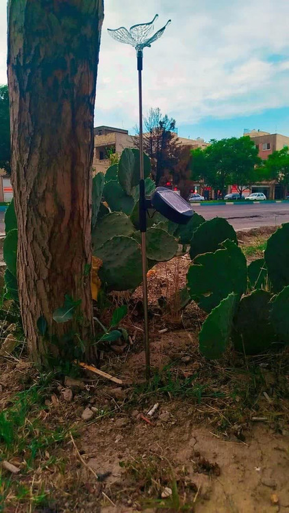 چراغ لوله ای طرح ار پروانه ای