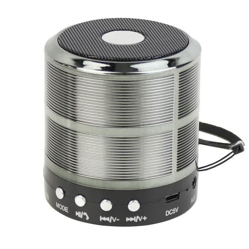 اسپیکر وستر مینی