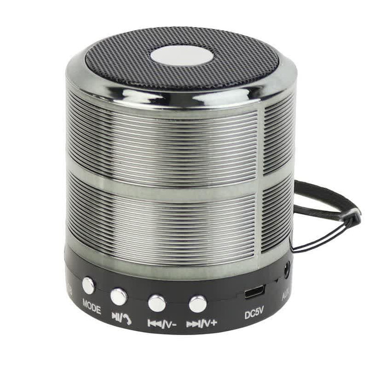 اسپیکر وستر مینی