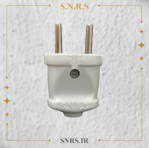 دو شاخ SNRS
