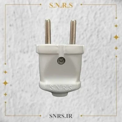 دو شاخ SNRS
